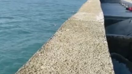 Женщина чуть не утонула на Каспии