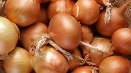 Таджикистан запретил экспорт лука