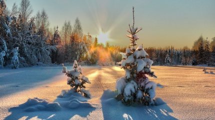 Дождь и ветер: синоптики рассказали о погоде на 1 февраля