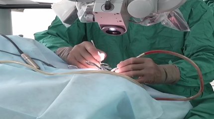 1 жарым жастағы сәби сәбізге қақалып, көз жұмды