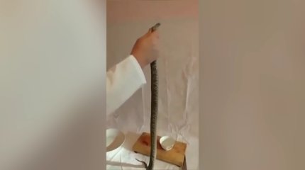 Емшілер жыланнан сорпа, тасбақадан дәрі жасап жүр