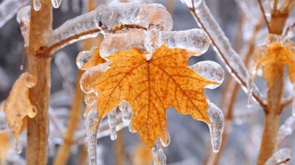 Каким будет октябрь в Казахстане, рассказали синоптики