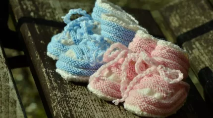 Гинеколог қандай әйелдер егіз көтеретінін айтты