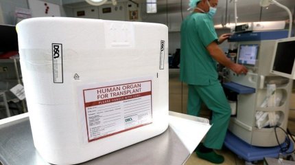 Почти 4 тысячи казахстанцев нуждаются в донорских органах