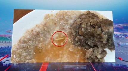 Арендаторы рассказали, откуда взялся червь в школьной столовой Павлодара