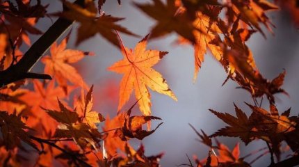 Алматыда және тағы 10 өңірде дауылды ескерту жасалды