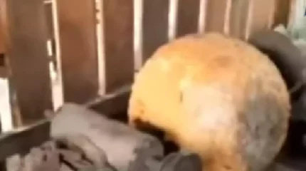 Ауласында алтын өндірген Жамбыл облысының тұрғынына қатысты қылмыстық іс қозғалды