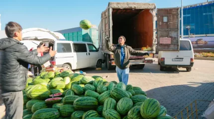 СҚО шаруалары Астанадағы жәрмеңкеге 700 тоннадан астам өнім әкелді