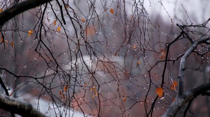 В Астане и 12 областях объявили штормовое предупреждение