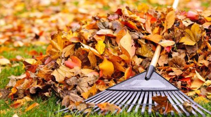 Жажда заработать 200 тенге обернулась для устькаменогорца уборкой городских улиц