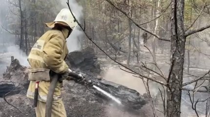 Ущерб от пожара в резервате "Семей орманы" составил более 160 млрд тенге