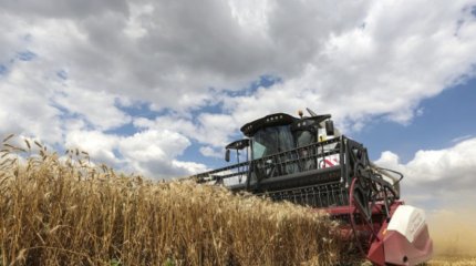 Комбайнер погиб во время уборки урожая в Акмолинской области