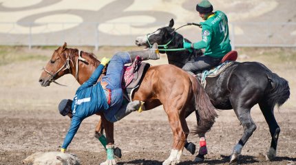 13-кратным чемпионом по кокпару стала команда Жамбылской области