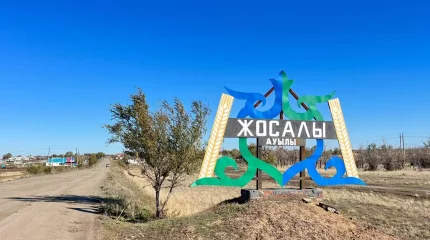 "Бәрі көктемде дүниеге келген": Ақтөбе облысындағы шағын ауылда 14 егіз тұрады