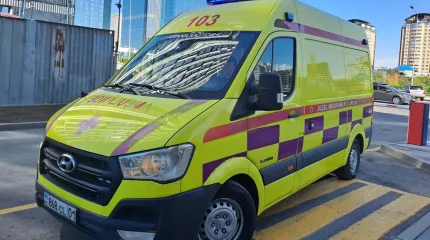 Алматыда 6 жасар бала үйдің шатырынан құлап мерт болды