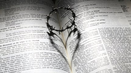 Овны, работу - на первое место; Девы, берите дела в свои руки: как закончить рабочую неделю знакам зодиака