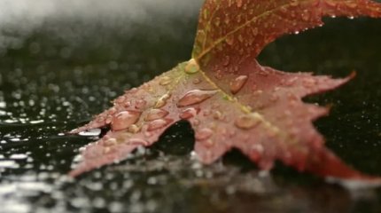 Дождливые выходные обещают казахстанцам