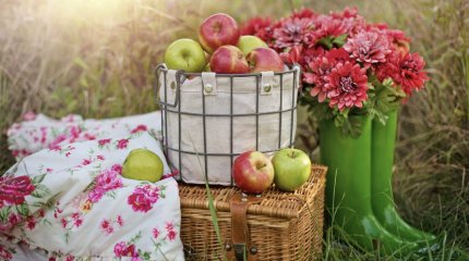 Успех в общении с противоположным полом - у Водолеев, Рыбы, отправляйтесь на природу: гороскоп выходного дня