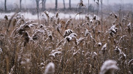 Первый снег ожидается в Астане