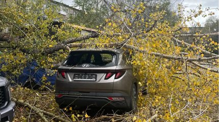 Снесенные крыши и поваленные деревья: последствия урагана показали в ВКО