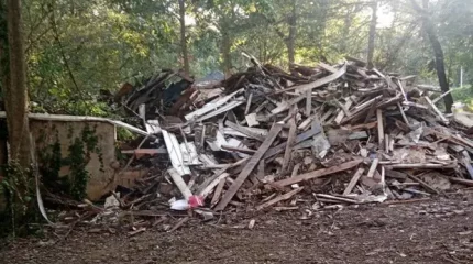 Жұмысшылар америкалық әйелдің үйін қателесіп сүріп тастаған