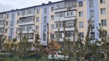«Замок Малефисенты»: астанчанка возмущена беспощадным кронированием деревьев вокруг дома