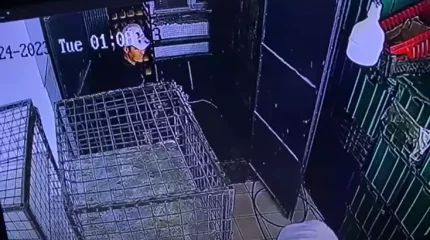 Ақтауда 34 жастағы ер адам лифт астында қалып, мерт болды