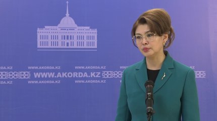 Глава минкультуры представила Токаеву план по развитию креативной индустрии