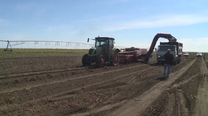 Павлодар облысында жерінен айырылған шаруалар шу көтерді