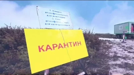 "Ауырған бұзауды сойған". Сібір жарасынан қайтыс болған қарағандылық тұрғын мырыш табытта жерленеді