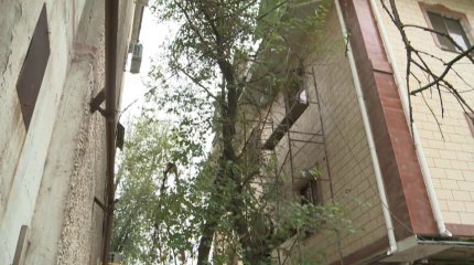 Окна с видом на интим: На нежеланное соседство с гостиницей жалуются шымкентцы