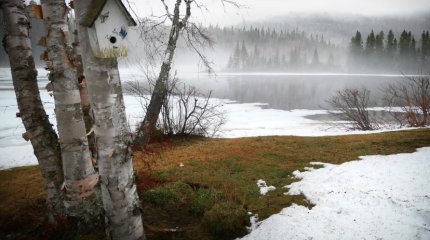 Потепление прогнозируют синоптики в Казахстане