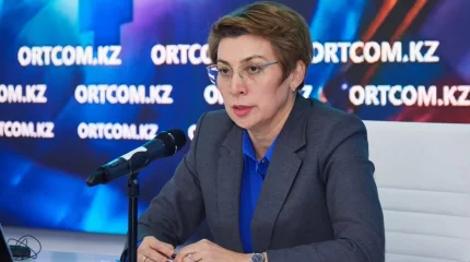 "Ауыл шаруашылығында қолданатын дәріні сепкен": Денсаулық сақтау вице-министрі Ақтауда қандалаға қарсы дәрі сепкендер туралы айтты
