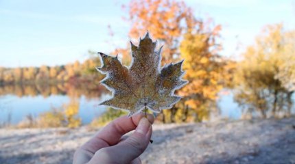 Тёплый ноябрь обещают казахстанцам