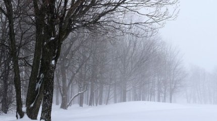 Қар, көктайғақ, тұман: Қазақстан бойынша 1 қарашаға арналған күн райы болжамы