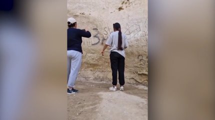 Власти бессильны перед вандалами, - экоактивисты