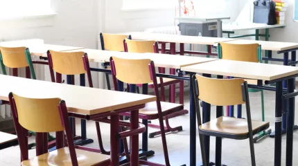 Алматы мектептерінің бірінде бастауыш сынып оқушылары онлайн оқуға жіберілді