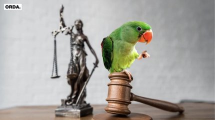 Алматинец отсудил у бывшей жены попугая
