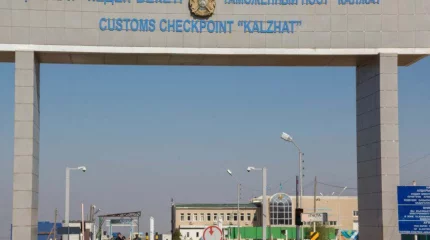 Қазақстан шекарасында қылмыстық топ мигранттарды заңсыз өткізген