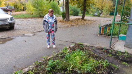 Почти 300 тысяч тенге штрафа выписали рудничанке за цветник перед домом