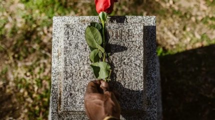 Брюссельцы получат право на погребение вместе со своими питомцами