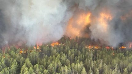 Разряд молнии: генпрокуратура озвучила причину лесного пожара в области Абай