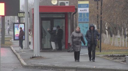 Предприниматели и их супруги  с 1 января должны представить декларацию о своих активах, - ДГД Астаны