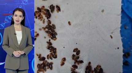 Израиль согласился на ежедневные гуманитарные паузы в секторе Газа