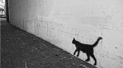 Справляют нужду в подъездах, портят имущество: больше 100 астанчан привлекли к ответственности