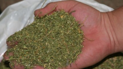 Алпыс жастағы тұрғын есірткі сақтаған