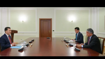 Мемлекеттік кеңесші ТҮРКСОЙ ұйымының бас хатшысымен кездесті