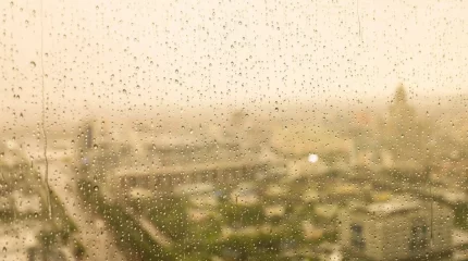 Көктайғақ болады