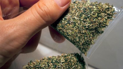 Қазақстанның бірнеше қаласында есірткі сатумен айналысқан интернет-дүкен анықталды