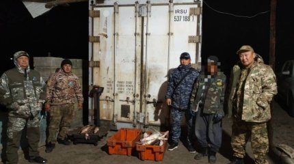 Балық аулаймын деп басы бәлеге қалды